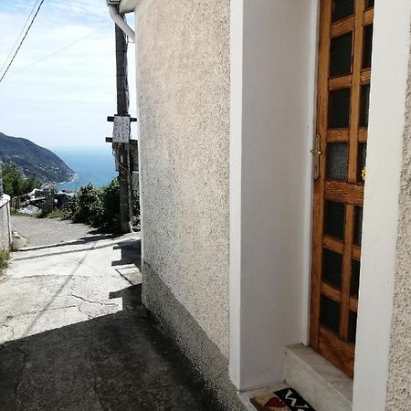 הוילה מונליה Sentieri Sul Mare מראה חיצוני תמונה